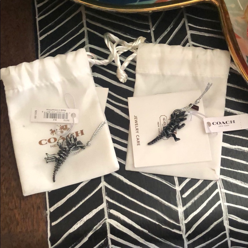 Two Authentic Coach Rexy Charms. NWT.